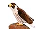 Price comparison product image Plush Soft Toy Bird of Prey Peregrine Falcon