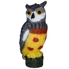 Greenfingers Chouette - pour effrayer Les Oiseaux