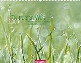 Tautropfen-Welt by 