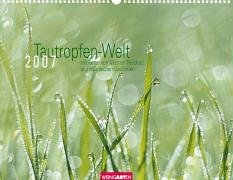 Tautropfen-Welt