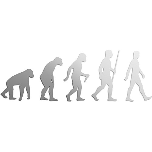 Evolution Acryl Spiegel, acryl, 150 x 51mm - 3