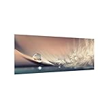 Klimaneutral bedruckt, mit 100% Ökostrom verarbeiteter Glas-Spritzschutz