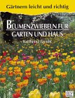 Preisvergleich Produktbild Blumenzwiebeln für Garten und Haus