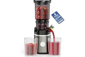TPGSING estrattore di succo, estrattore frutta e verdura da 250 Watt, motore a corrente continua silenzioso, estrattore a freddo con diametro di 130 mm, slow juicer facile da pulire con 2 tazze