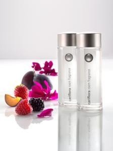 Preisvergleich Produktbild Carus 1009643 Raumduft Cariflora