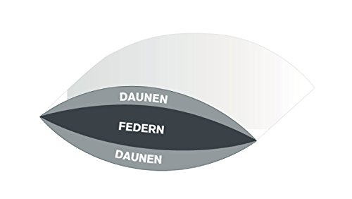 3 Kammer Kopfkissen Kissen Valdez Daunenkissen kuschelweich und stützend (Kissen 80×80) - 3