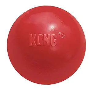 Kong Small Ball Dog Toy