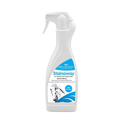 Preisvergleich Produktbild Groom Away Citronela Wash