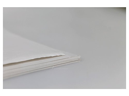 Einschlagpapier 40x55cm weiss Seidenpapier Abdeckpapier 10kg Papier Einlage - 3