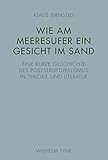 Image de Wie am Meeresufer ein Gesicht im Sand: Eine kurze Geschichte des Poststrukturalismus