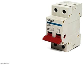 100A 2P Mains Isolator