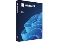 Windows 11 Pro USB Pack | Key Card USB Installation | 32/64-bit | Multi-language | 1PC Version