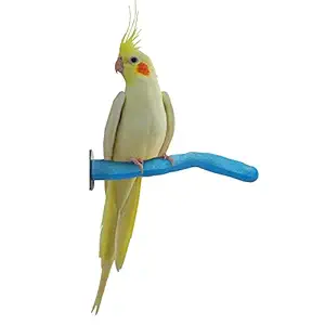 Sweet Feet and Beak Safety Pumice Perch Bird Toy - Trims Nails and Beak - Promotes Healthy Feet - Safe Non-Toxic Bird Supplies for Bird Cages - X-Small 5.25