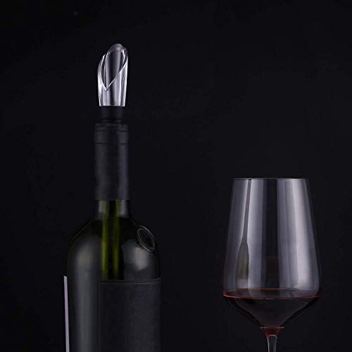 Set Refrigeratore Vino 4 In 1 - Asta In Acciaio Inox Con Aeratore, Apribottiglie, Tappo E Tagliacarte