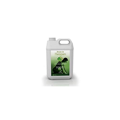 Preisvergleich Produktbild Eukalyptus Hamamnebel Kamylle 5 Liter