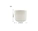 Pack of 10 50ml/1.76 Oz Refillable Colored Plastic Cosmetic Jars Cream Jar Pot Bottle Container for Nail Powder Eye Shadow Container Lot (Transparent)