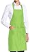 Produktbild vanVerden - Premium Schürze - Hell-Grün Blanko - Hell-Grüne Latz-Schürze