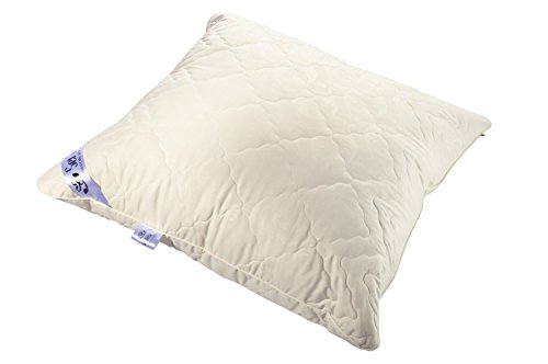 Angebot DOPPELPACK: 2x Sei Design® Premium Mikrofaser Kopfkissen Aphrodite. Füllung aus 3-D Faserkügelchen – sehr weich und angenehm – Stützkraft regulierbar durch Reißverschluss. Eine eingearbeitete Kante verleiht dem Kissen eine besondere Elegance. (80×80, champagner) - 3