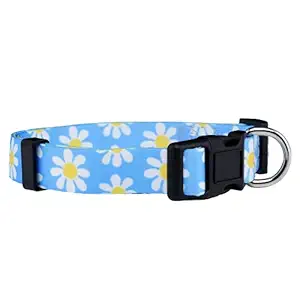 Native Pup Flower Dog Collar/Paisley Dog Collar (Large, Blue Daisy)