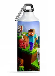 TrendoPrint Minecraft Printed Sports Sipper/Water Bottle (600ml) for Gym, Yoga, Kids, Boys, Girls, Brother, Sister, Babies, Baby, Workout, Adults and Loving Ones_(CN-52)