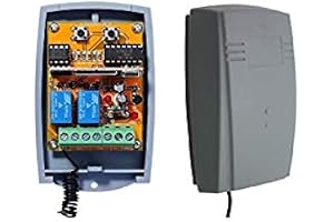 RIB kompatibel radiomottagarmodul i höljet, 2-kanals universell mottagare för RIB SUN T433, MOON T433, 433-1, 433-2, 433-3 handhållen sändare. 12-24 V AC/DC, NO/NC 433.92 Mhz rullning/fast kod