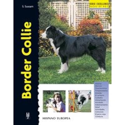 juegos mentales para border collie