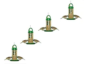 Amijivdaya Food Grade Plastic Bird Feeder with Holding Handle (Transparent, Green, Small) - Pack of 4