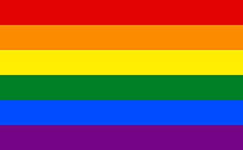 NAVA 1,5m x 0,9 m groß Polyester Aufhängen Regenbogen Gay Lesben Flagge LGBT Stolz Parade Peace - 2