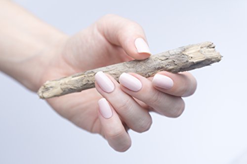 Miss Sophie’s exklusive Premium Nagelfolien Ever Nude: 20 ultra-dünne selbstklebende langanhaltende Nail Wraps - 4