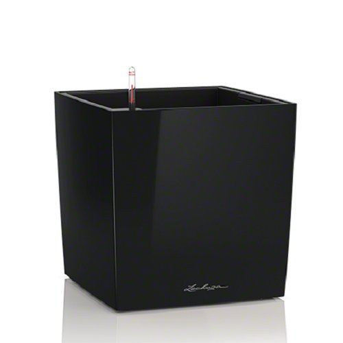 Lechuza Cube 40 Premium Komplettset Schwarz