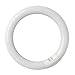 Price comparison product image Evila - Watt Circular Fluorescent Tube Lamp T9 TRIFOSFORO 32 W G1