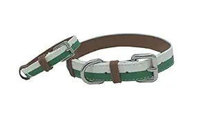 Pet Glam Dog Collar- Fits Small-Medium Dog Breeds-Safe & Strong Adjustable Metal Buckles-Miami-M-Matching Band for Humans Free