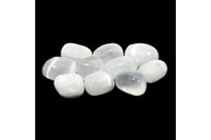 GEOFOSSILS Pietra satinata (20 – 25 mm)