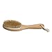 FACILLA® Full Body Natural Bristle Dry Skin Exfoliation Brush Detox Fight Cellulite Tool