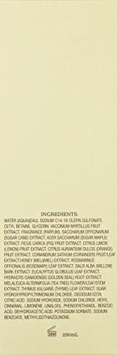 Crabtree & Evelyn Citron, honey and coriander skin cleansing bath and shower gel, 1er Pack (1 x 250 ml) - 2