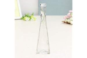 Young21 Couleur Clair Mini Vase en Verre Zakkz Fleur Bouteille Ornements en Verre Fleur Arranger Décor À La Maison - Clair