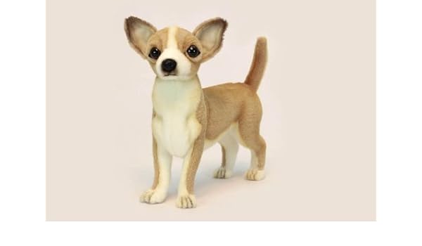 chihuahua soft toy