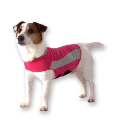 thundershirt polo