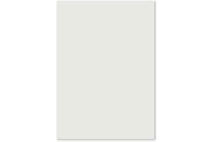 FARBENFROH BY GUSTAV NEUSER FarbenFroh - Lote de 50 hojas de papel para tarjetas individuales, DIN A5, 240 g/m², 14,8 x 21 cm, gris claro. Cartulina fina, cartulina cuché, papel para manualidades, cartulina gruesa