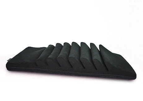 Preisvergleich Produktbild Lendenkissen, – Detensor Vertikal Rückseite Traktion Kissen