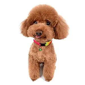 Woofy Adjustable Nylon Rainbow Collars with Bell for Small Dogs, Puppies and Cat (Mixed Color)
