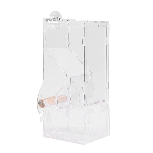 Comederos Autom  ticos para p  jaros Alimentador de p  jaros Acr  lico transparente Accesorios de jaula de loro