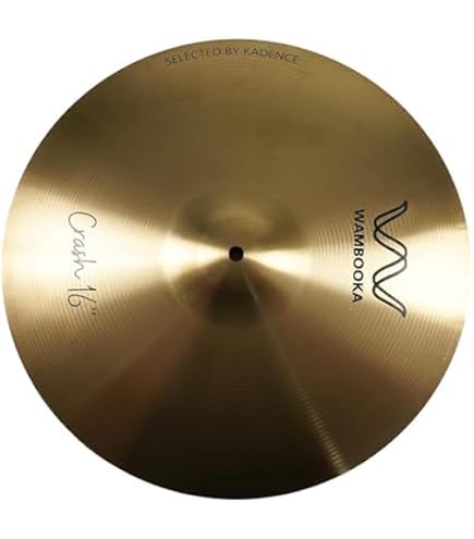 Paiste 16 Inches PST X Cajon Crash Cymbal : Amazon.in: Musical