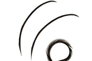 GREGORY CRAFTS & GIFTS Black Biot Feathers x 5 - Millinery hat, Fascinator, Wedding Decoration - Long and Narrow Feathers (5 to7cms Long)