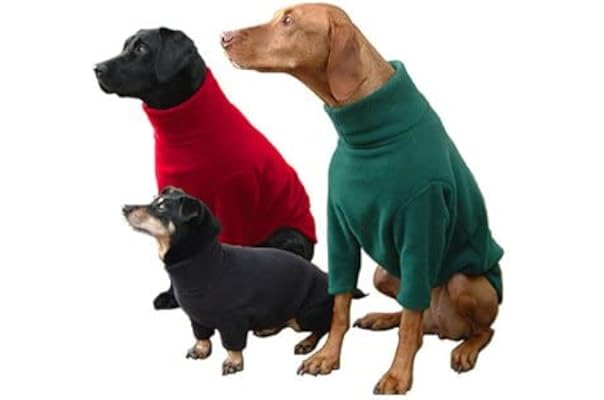 jumpers with dogs on them