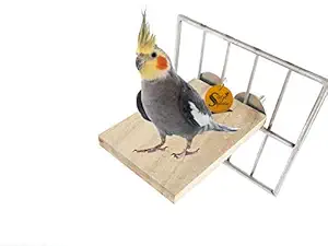 Sage Square Natural Wood Platform Cum Perch Cum Stand Bird Toy Ideal for Finch, Canary, Lovebird, Budgerigar, Budgeri (Light Weight) (3