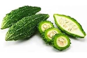 SEELANS SUPERSTORE Seelans Fresh Karela | 1KG | Bitter Guard | 100% Fresh Vegetable | Indian Origin Next day shipping
