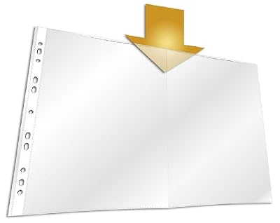 Durable 267119 Pochette Perforée pour Document Format A3 Plié - Perforations Universelles 11 trous - Polypro Grainé 60 Microns - Sachet de 10