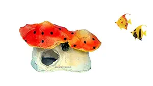 AQUAPETZWORLD Resin Mushroom House Aquarium Decorations Fish Tank Landscape Ornament Deliver 2PCS Fish Decoration(Random Color) 13 x 7 x 10