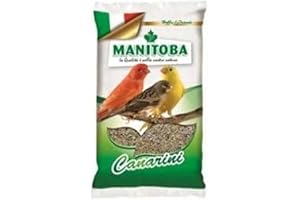 GROTAUS Miscuglio Canarini 1 kg mangime con semi e biscotto Manitoba